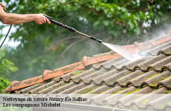Nettoyage de toiture  neuvy-en-sullias-45510 Les compagnons Michelet