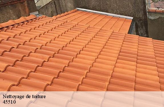Nettoyage de toiture  45510