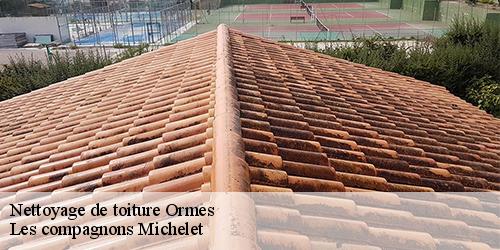 Nettoyage de toiture  ormes-45140 Les compagnons Michelet