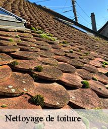 Nettoyage de toiture  ousson-sur-loire-45250 Les compagnons Michelet
