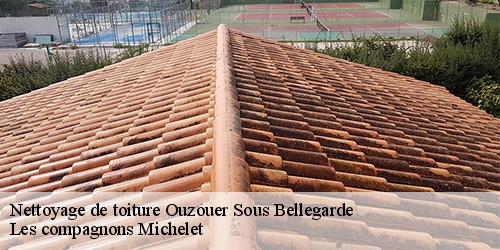 Nettoyage de toiture  ouzouer-sous-bellegarde-45270 Les compagnons Michelet