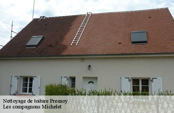 Nettoyage de toiture 45260