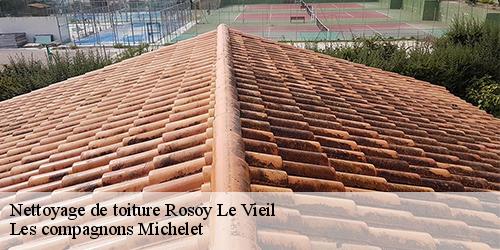 Nettoyage de toiture  rosoy-le-vieil-45210 Les compagnons Michelet