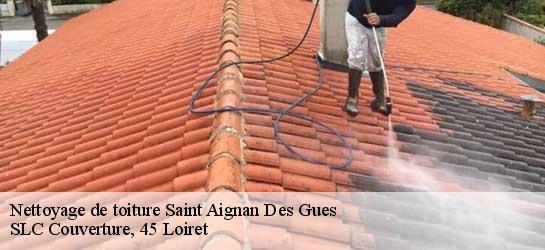 Nettoyage de toiture  45460