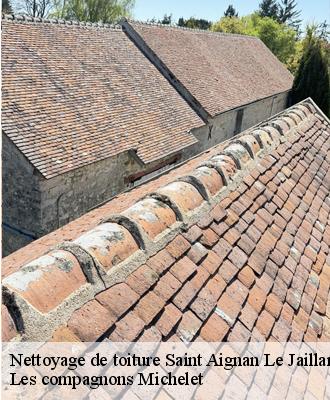 Nettoyage de toiture  saint-aignan-le-jaillard-45600 Les compagnons Michelet