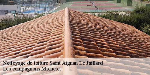 Nettoyage de toiture  saint-aignan-le-jaillard-45600 Les compagnons Michelet