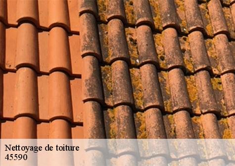 Nettoyage de toiture  saint-cyr-en-val-45590 Les compagnons Michelet