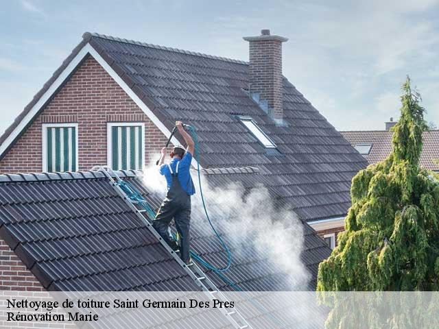 Nettoyage de toiture  saint-germain-des-pres-45220 Rénovation Marie
