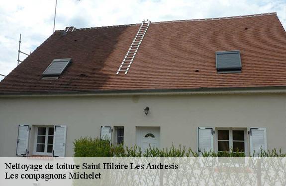 Nettoyage de toiture  45320