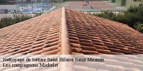 Nettoyage de toiture  saint-hilaire-saint-mesmin-45160 Les compagnons Michelet