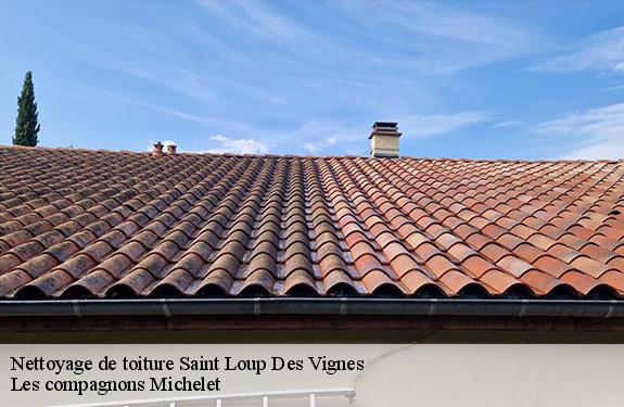 Nettoyage de toiture  45340