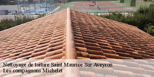 Nettoyage de toiture  saint-maurice-sur-aveyron-45230 Les compagnons Michelet