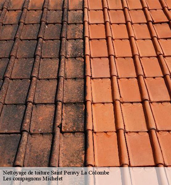 Nettoyage de toiture  saint-peravy-la-colombe-45310 Les compagnons Michelet