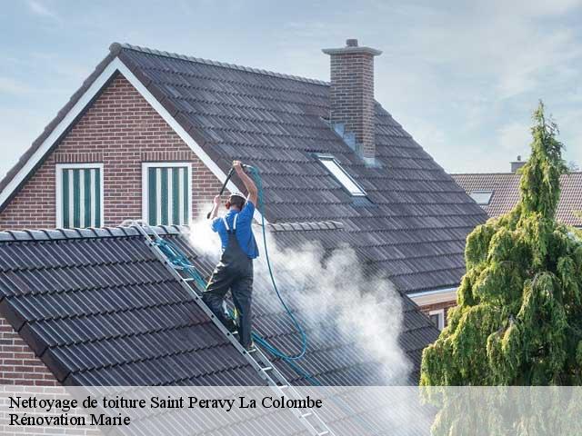 Nettoyage de toiture  saint-peravy-la-colombe-45310 Rénovation Marie