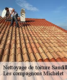 Nettoyage de toiture  sandillon-45640 Les compagnons Michelet