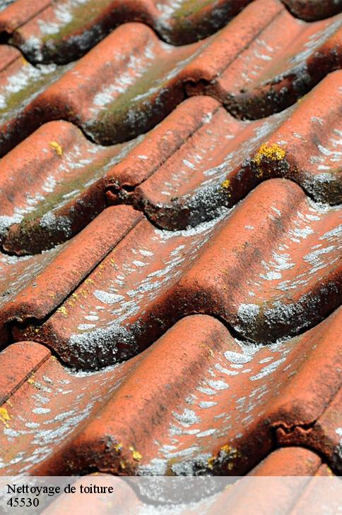 Nettoyage de toiture  seichebrieres-45530 Les compagnons Michelet