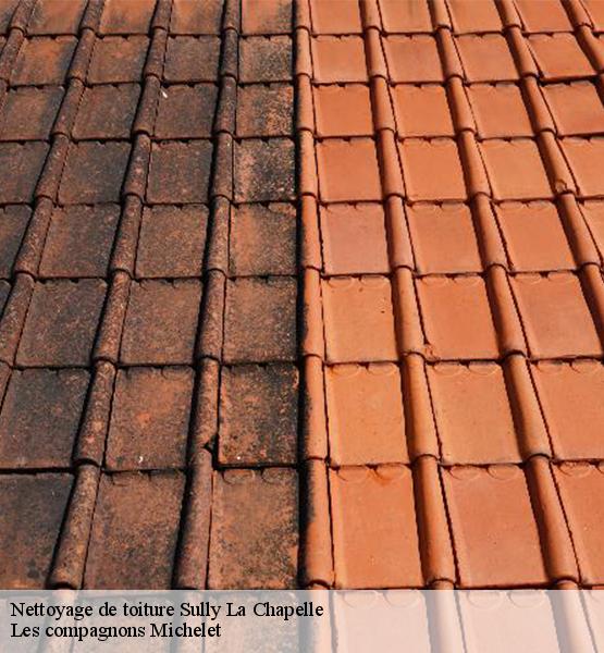 Nettoyage de toiture  sully-la-chapelle-45450 Les compagnons Michelet