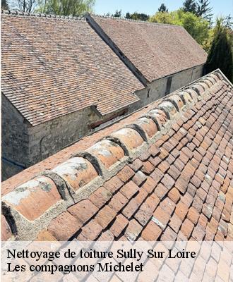 Nettoyage de toiture  sully-sur-loire-45600 Les compagnons Michelet