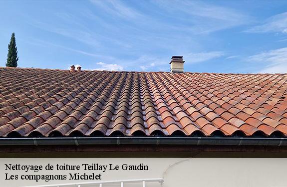 Nettoyage de toiture  45480