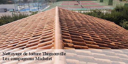 Nettoyage de toiture  thignonville-45300 Les compagnons Michelet