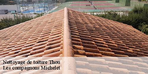 Nettoyage de toiture  thou-45420 Les compagnons Michelet