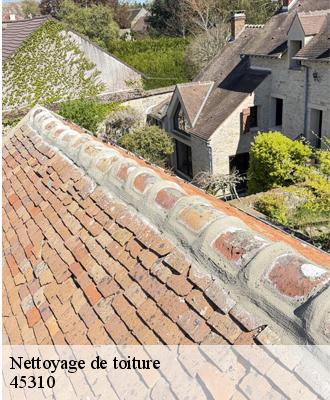Nettoyage de toiture  villeneuve-sur-conie-45310 Les compagnons Michelet