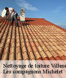 Nettoyage de toiture  villeneuve-sur-conie-45310 Les compagnons Michelet