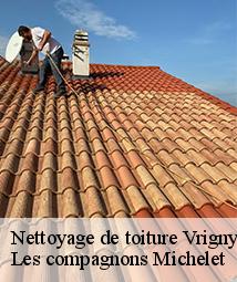 Nettoyage de toiture  vrigny-45300 Les compagnons Michelet
