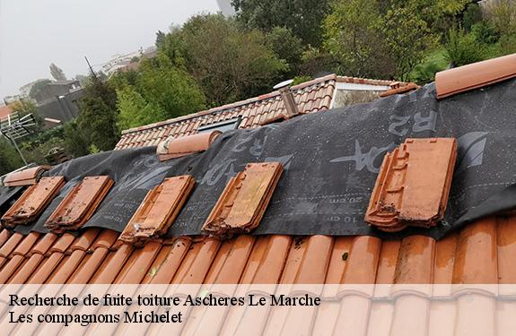 Recherche de fuite toiture 45170