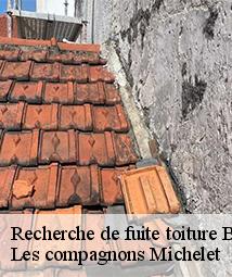 Recherche de fuite toiture  baccon-45130 Les compagnons Michelet