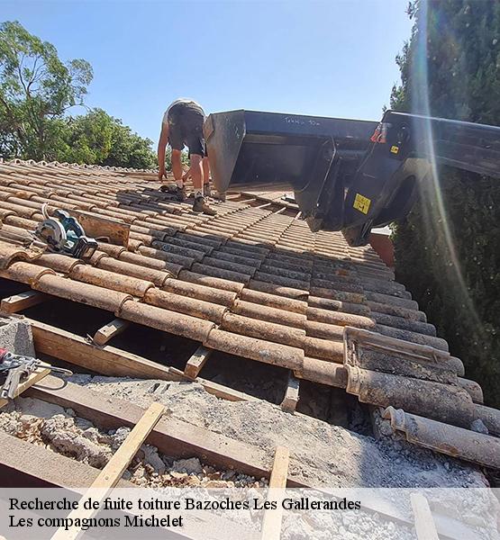 Recherche de fuite toiture  bazoches-les-gallerandes-45480 Les compagnons Michelet