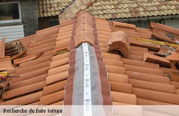Recherche de fuite toiture  45290