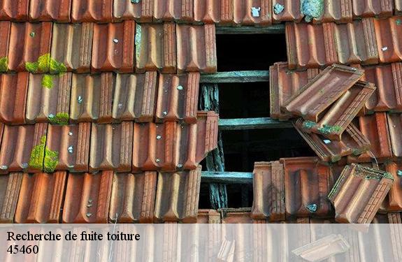 Recherche de fuite toiture  45460