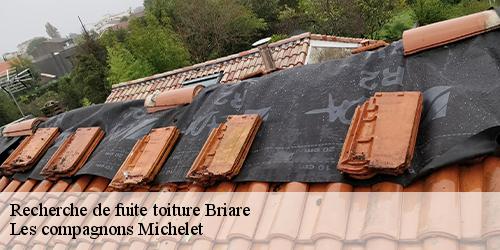Recherche de fuite toiture  briare-45250 Les compagnons Michelet