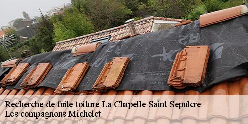 Recherche de fuite toiture  la-chapelle-saint-sepulcre-45210 Les compagnons Michelet