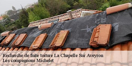 Recherche de fuite toiture  la-chapelle-sur-aveyron-45230 Les compagnons Michelet