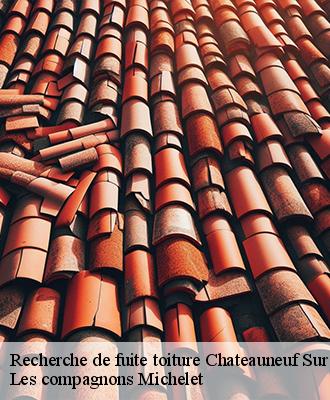 Recherche de fuite toiture  chateauneuf-sur-loire-45110 Les compagnons Michelet