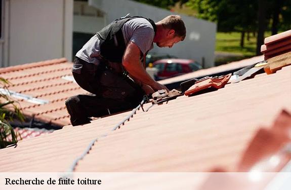 Recherche de fuite toiture  45370