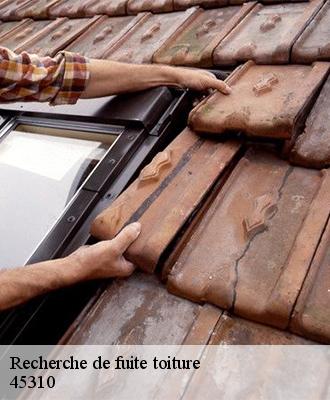 Recherche de fuite toiture  coinces-45310 Les compagnons Michelet