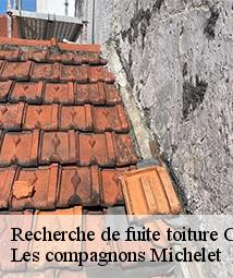 Recherche de fuite toiture  coinces-45310 Les compagnons Michelet