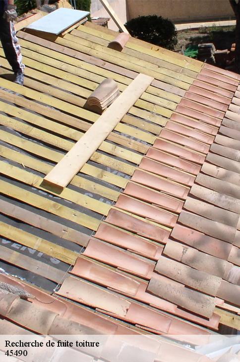 Recherche de fuite toiture  courtempierre-45490 Les compagnons Michelet