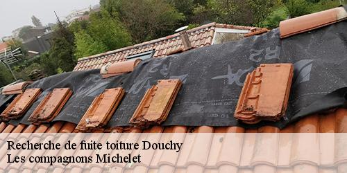 Recherche de fuite toiture  douchy-45220 Les compagnons Michelet