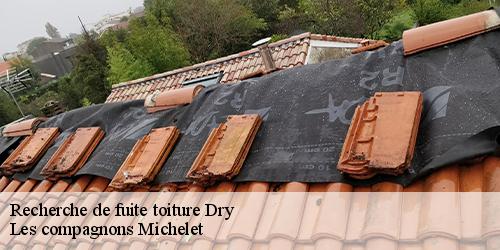 Recherche de fuite toiture  dry-45370 Les compagnons Michelet