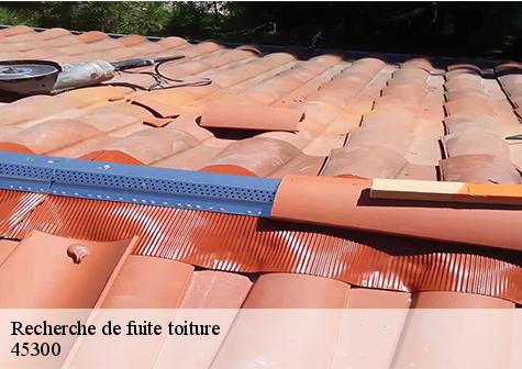 Recherche de fuite toiture  estouy-45300 Les compagnons Michelet