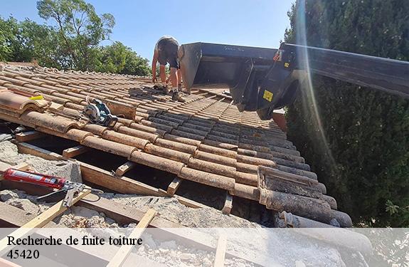 Recherche de fuite toiture 45420