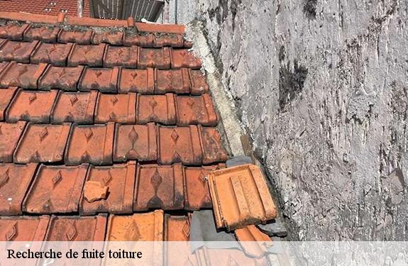 Recherche de fuite toiture  45270