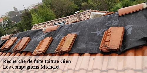 Recherche de fuite toiture  gien-45500 Les compagnons Michelet