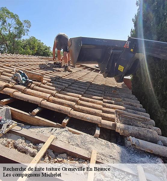 Recherche de fuite toiture  greneville-en-beauce-45480 Les compagnons Michelet