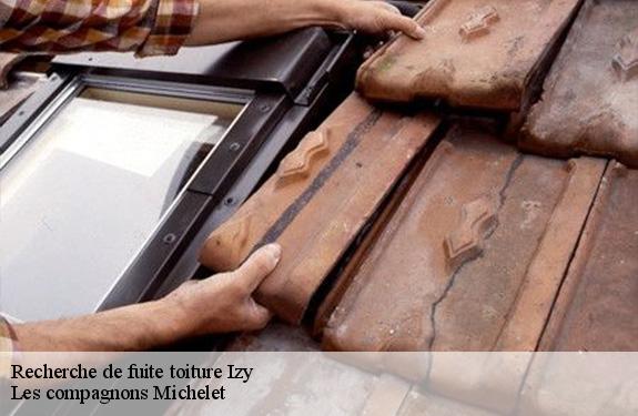 Recherche de fuite toiture  45480