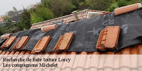 Recherche de fuite toiture  lorcy-45490 Les compagnons Michelet